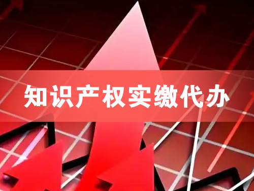 双鸭山知识产权实缴资本代办